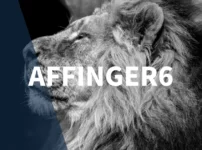 【簡単】AFFINGER6でランキングを作成する方法