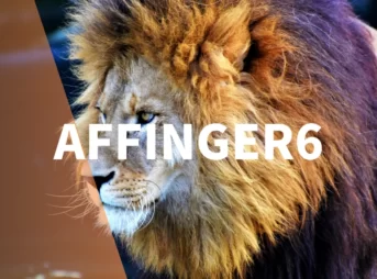 【簡単】AFFINGER6でスライドショーを設定する方法