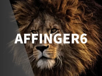 AFFINGER6でファビコンを設定する方法【1分で完了！】