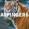 アフィンガー6（AFFIGER6）の会話吹き出し設定とカスタマイズ方法