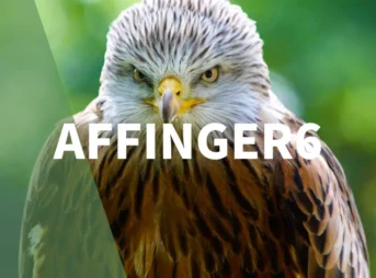 AFFINGER6（アフィンガー6）で人気記事・おすすめ記事を表示する方法