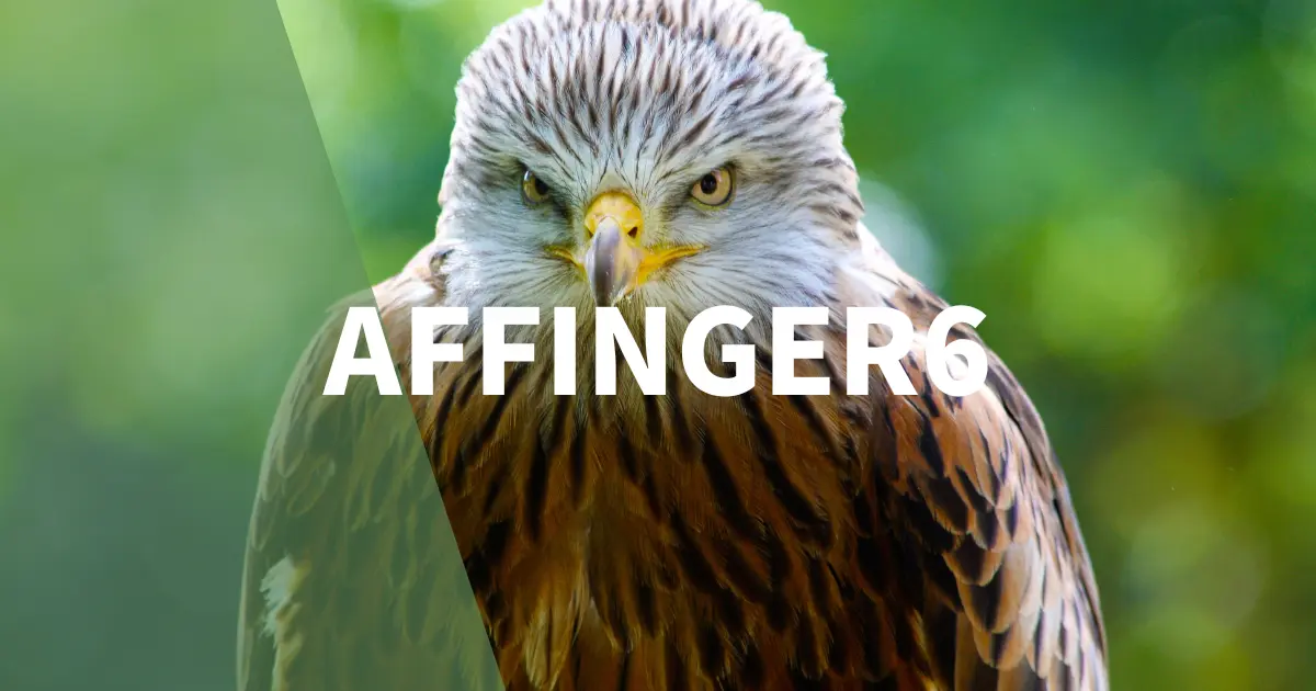 AFFINGER6（アフィンガー6）で人気記事・おすすめ記事を表示する方法