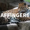 アフィンガー6(AFFINGER6)のアドセンス広告の貼り方【貼った後にすべきこと】