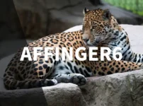 アフィンガー6(AFFINGER6)のアドセンス広告の貼り方【貼った後にすべきこと】