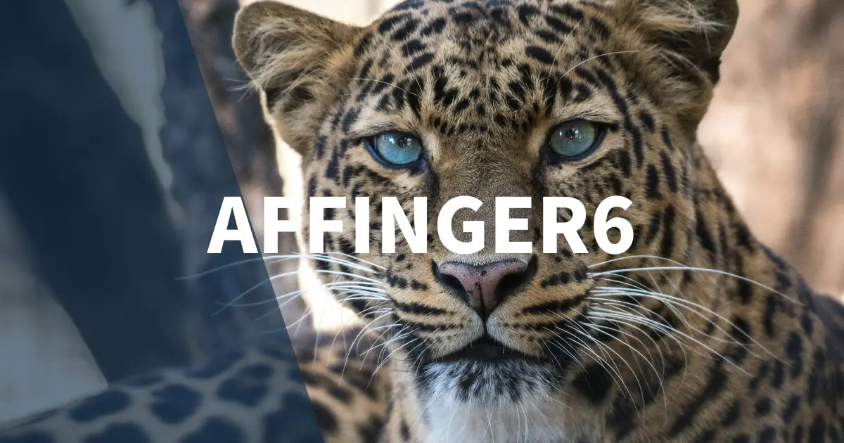 Affinger6のアップデート方法と注意点【自動・手動ともに解説】